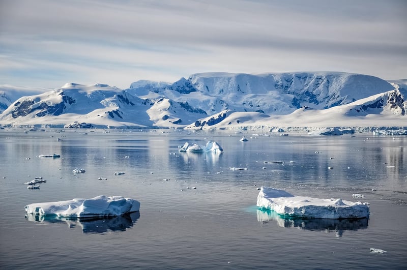 Polar Expedition